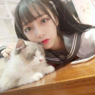 猎手之王百度版下载
